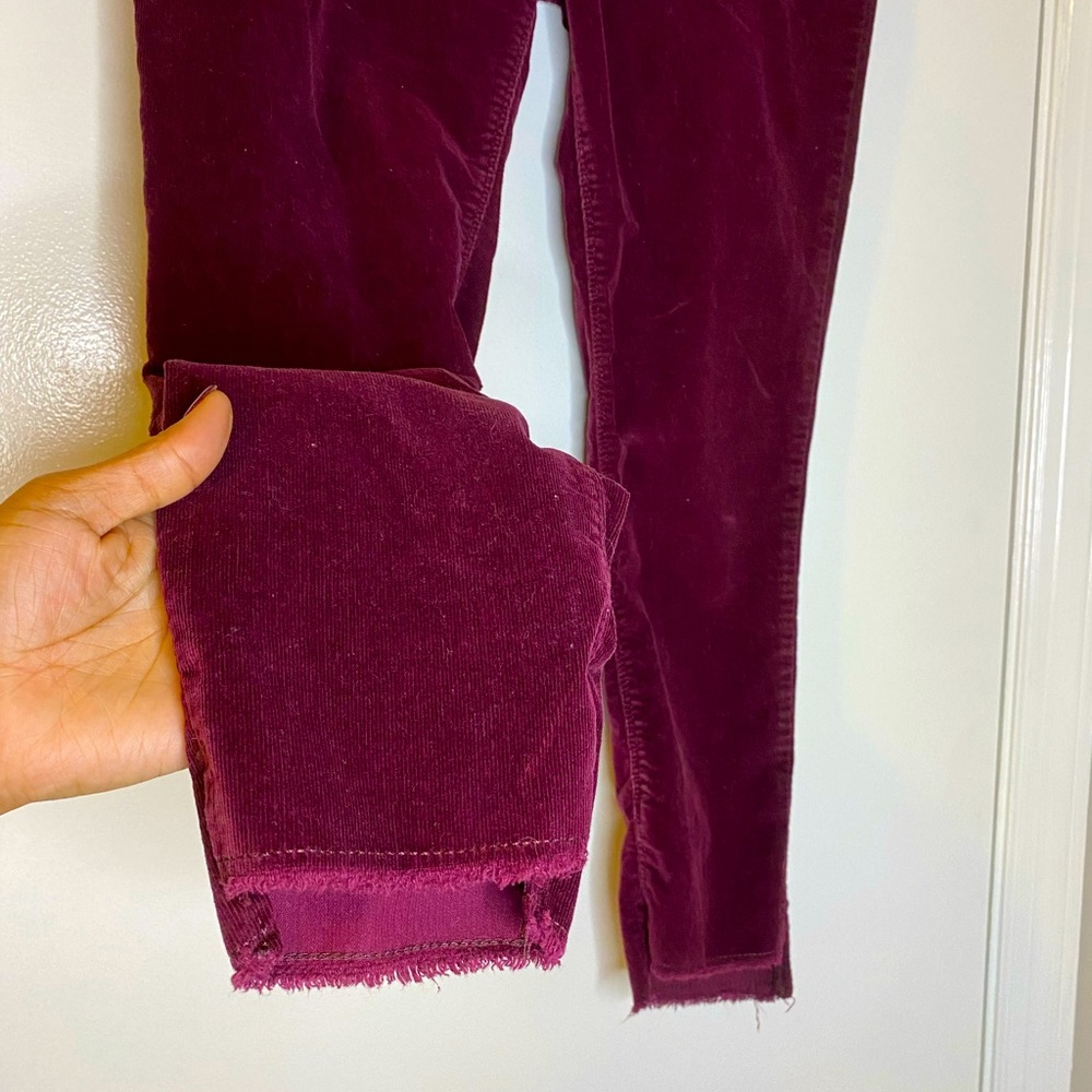 Express corduroy cropped pants